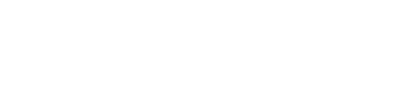 WITOP STEEL Footer Logo